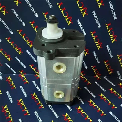 Hydraulické zubové čerpadlo 3655100M91,0510465364 Používa sa pre traktor Landini